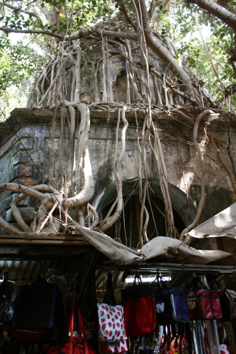 Purchasing Beneath the Banyan Tree