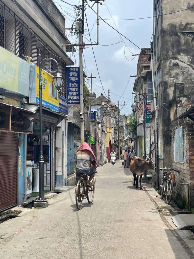 Wandering Through The Cultural Mosaic of Navadwip