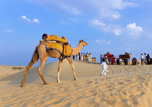 One Day Tour In Jaisalmer