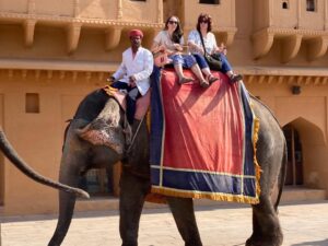 Elephant Ride in jaipur