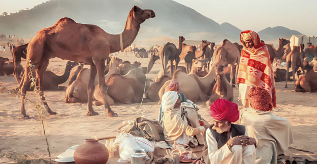 Rajasthani culture pushkar fair