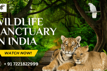 Wildlife sanctuary in India