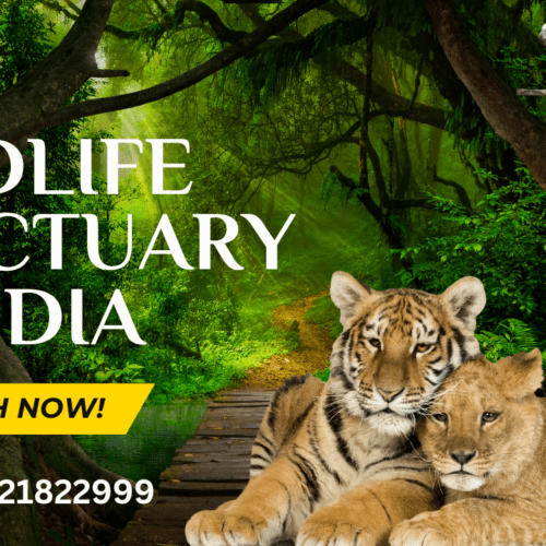 Wildlife Sanctuaries in India