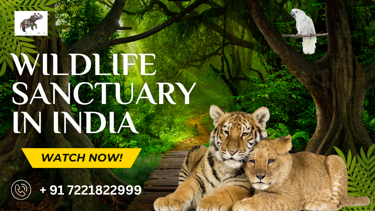 Wildlife sanctuary in India