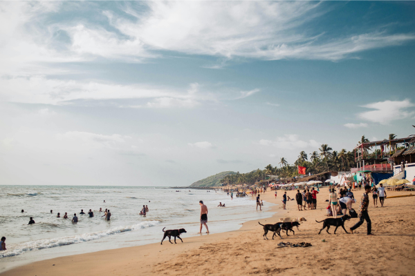 6. Goa – Sun, Sand, and Sea