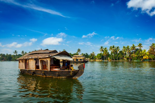 Alleppey Cruise the tranquil backwaters in a luxury houseboat.