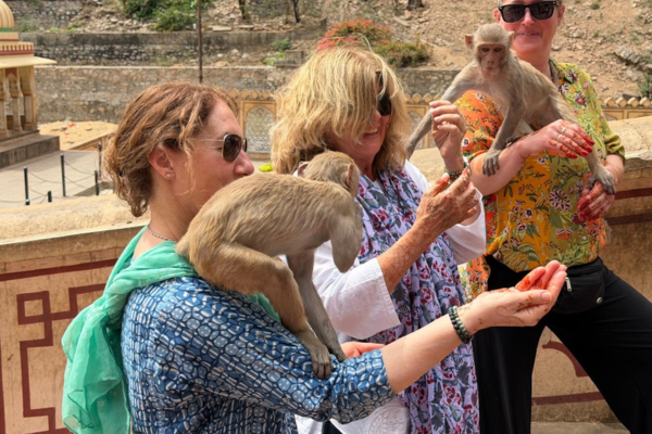 Tourists having fun with monkeys at Galta Temple Jaipur