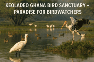 Keoladeo Ghana Bird Sanctuary