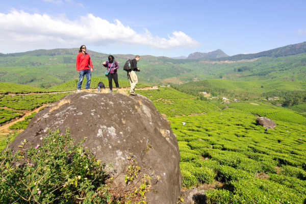 Munnar Rolling hills covered in tea plantations and scenic vistas.