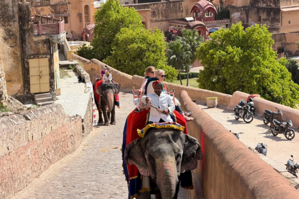 Rajasthan highway private tour