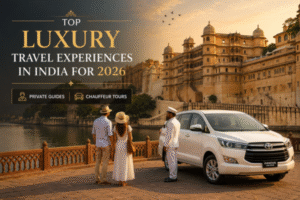Luxury India private tour with chauffeur car and royal palace view