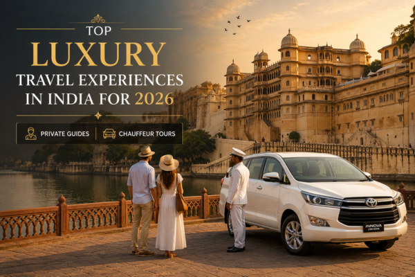 Luxury India private tour with chauffeur car and royal palace view