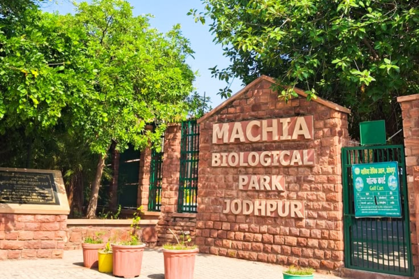 Machia Biological Park in Jodhpur Rajasthan